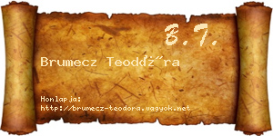Brumecz Teodóra névjegykártya